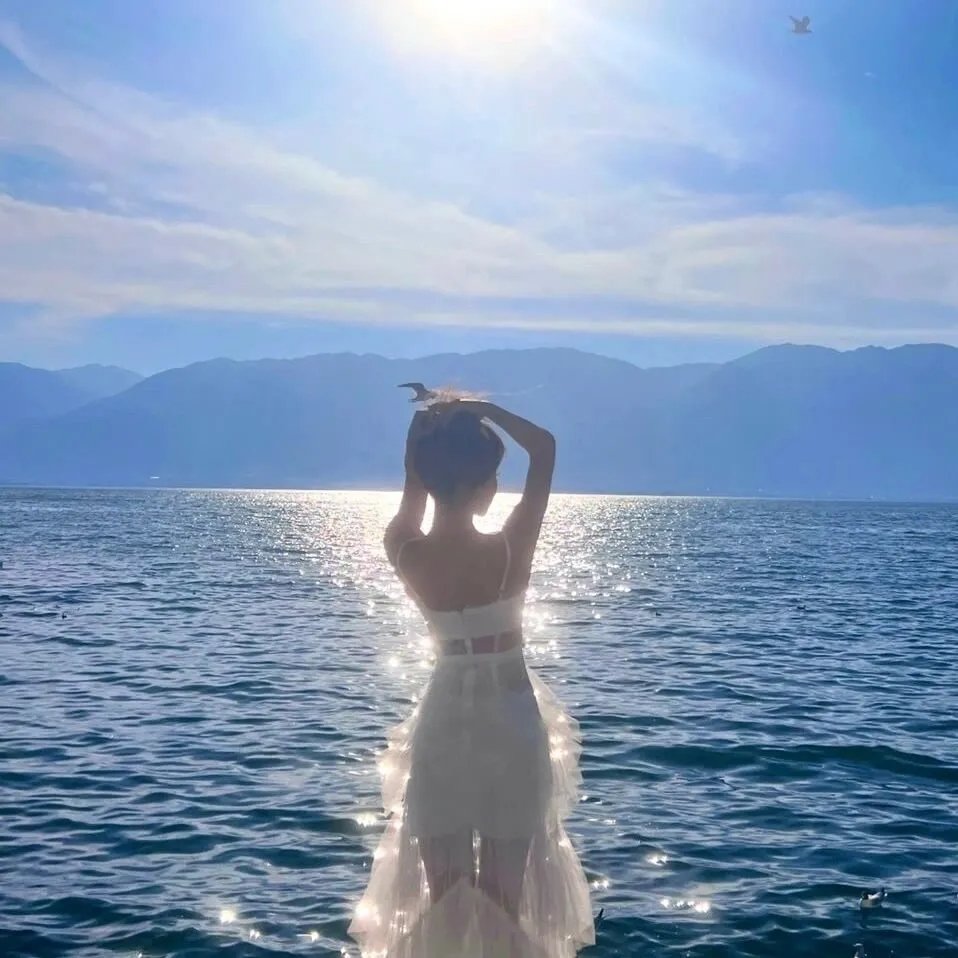 风流侠盗走天涯